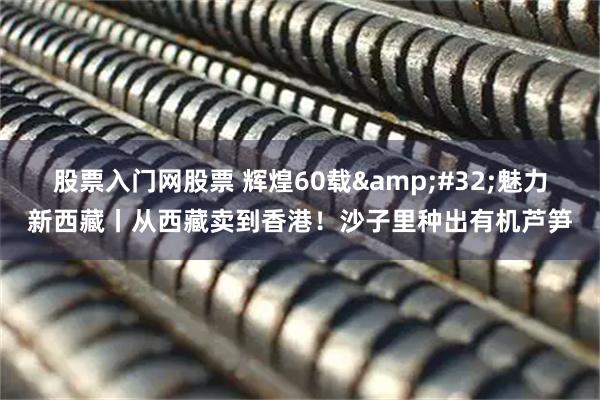 股票入门网股票 辉煌60载&#32;魅力新西藏丨从西藏卖到香港！沙子里种出有机芦笋